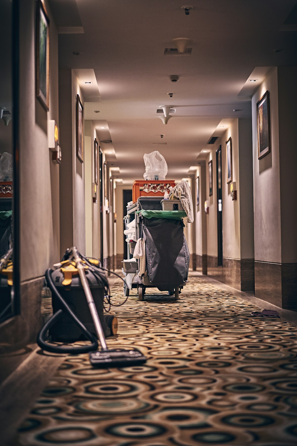 Residential Carpet Cleaning